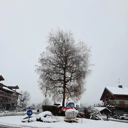 Samoens Studio Apartment