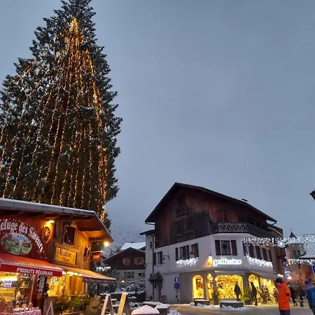 Samoens Studio Apartment