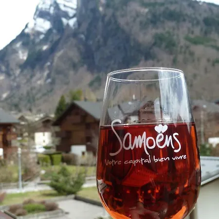 Samoens Studio *